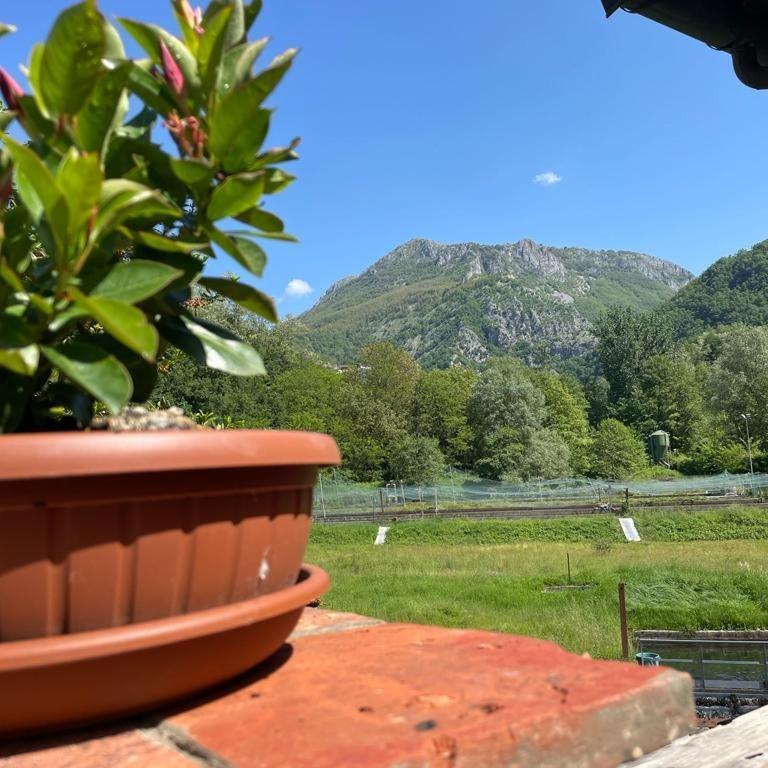 Le Macine Holiday home Magnano (Tuscany)