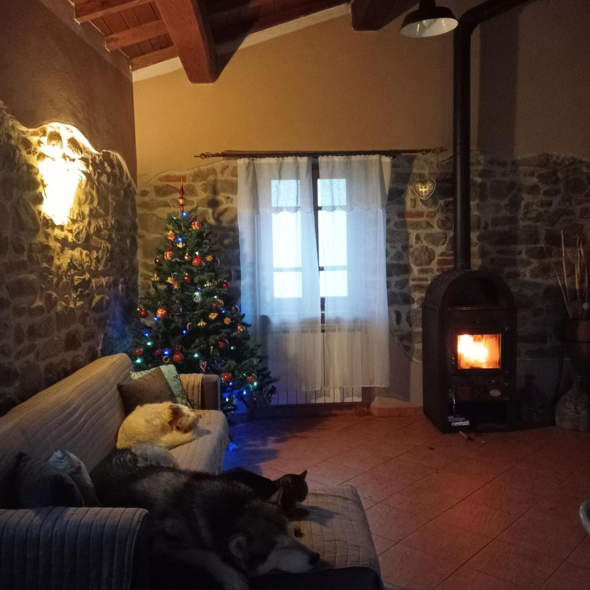 Holiday home Le Macine